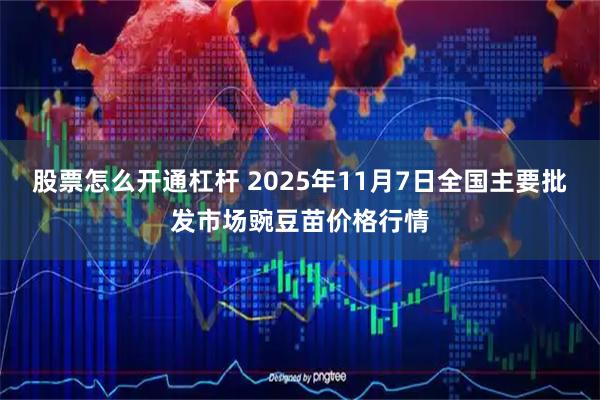 股票怎么开通杠杆 2025年11月7日全国主要批发市场豌豆苗价格行情