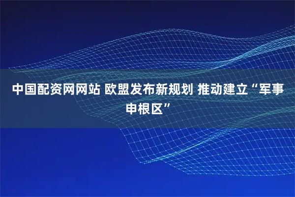 中国配资网网站 欧盟发布新规划 推动建立“军事申根区”