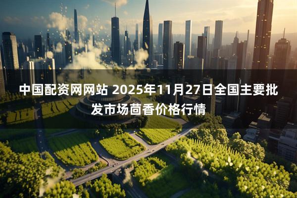 中国配资网网站 2025年11月27日全国主要批发市场茴香价格行情
