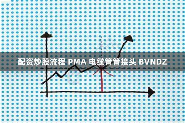 配资炒股流程 PMA 电缆管管接头 BVNDZ